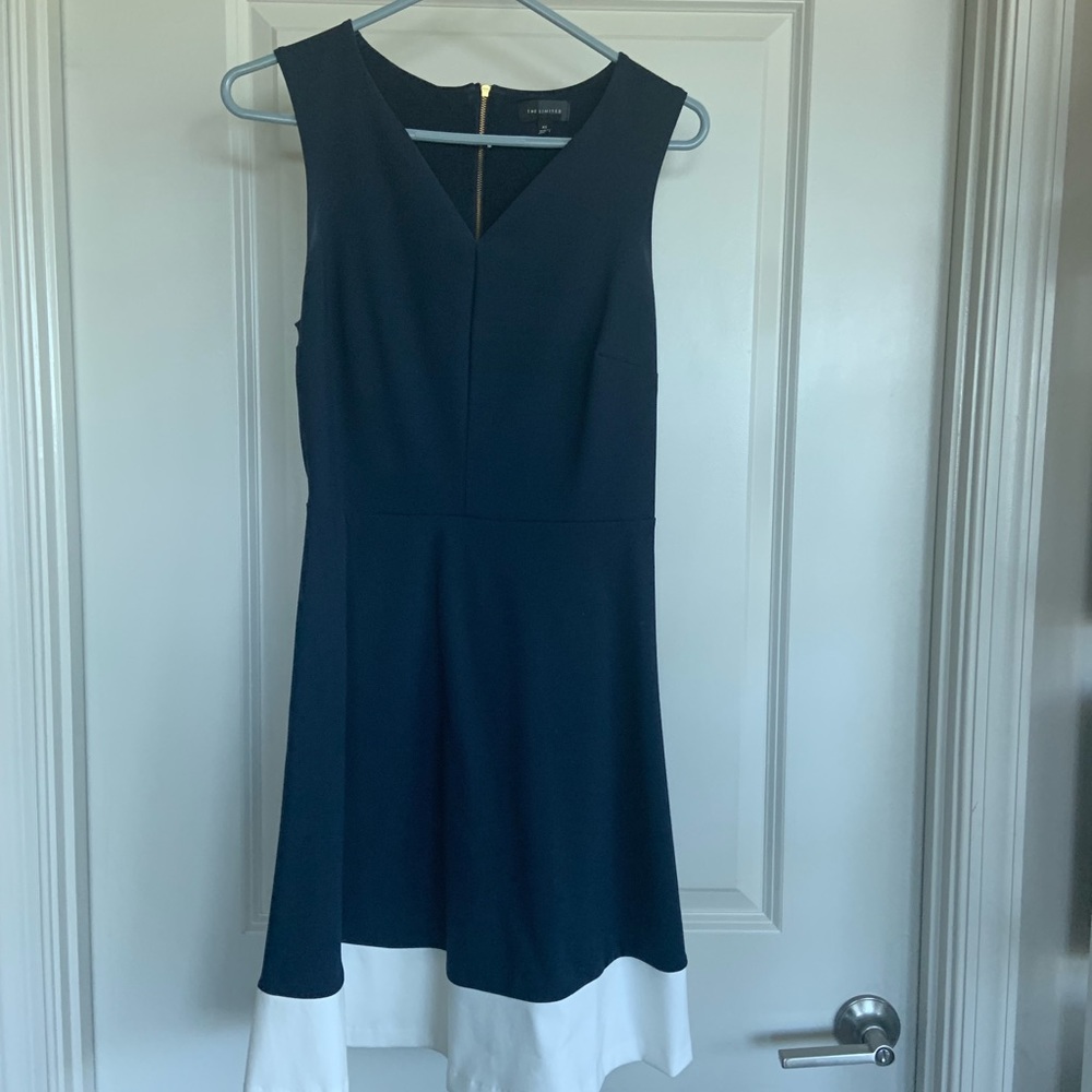 Classy, Fun Transitional Dress - image 1